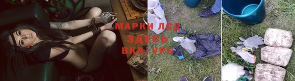 мяу мяу кристалл Михайлов