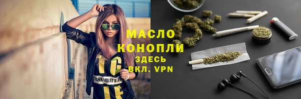 молекула духа Михайловск