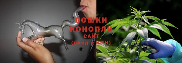 молекула духа Михайловск