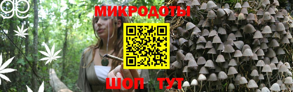 Псилоцибиновые грибы MAGIC MUSHROOMS  Вход с VPN  Корсаков 