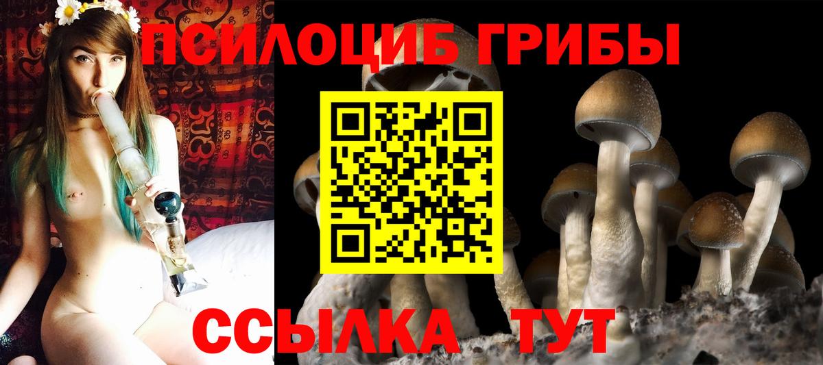 Галлюциногенные грибы Cubensis Корсаков